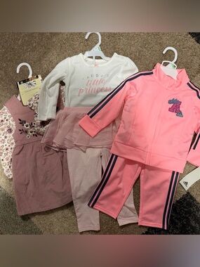 Baby girl 18 month bundle